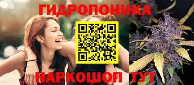 не бодяженный Лесосибирск