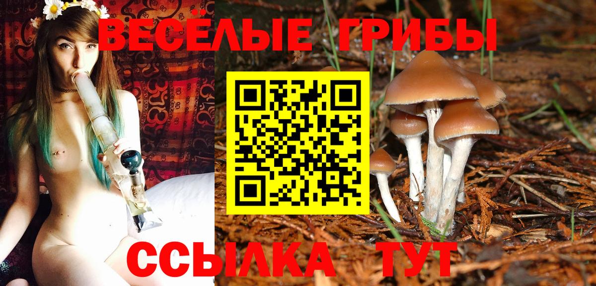 Псилоцибиновые грибы мицелий  Вход с VPN  даркнет сайт  Волхов 