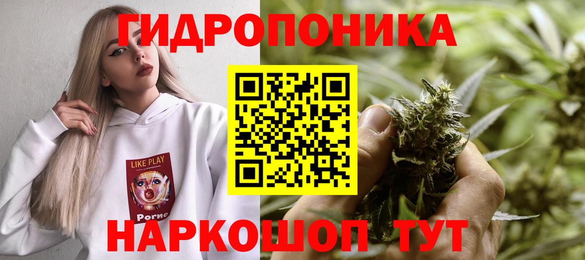 Канабис семена  МАРИХУАНА план  Бошки Шишки Amnesia  Волхов  Вход с VPN 