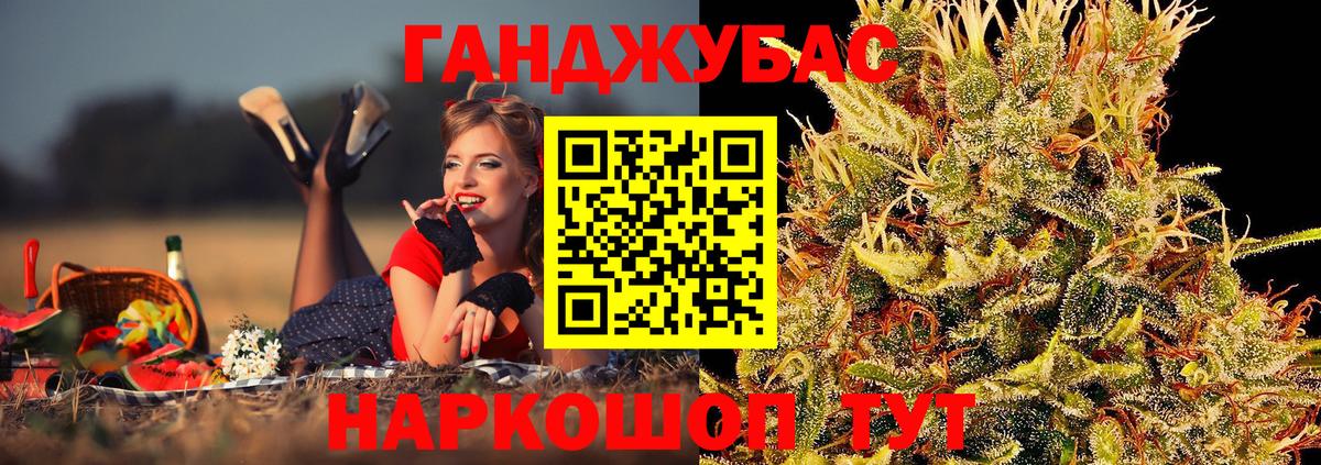 Конопля сатива Волхов